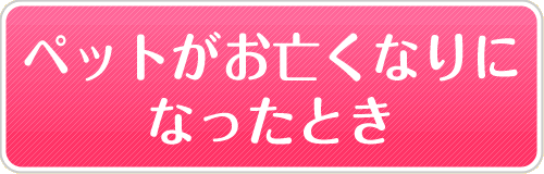 ペットがお亡くなりになったとき