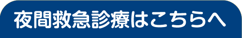 夜間救急診療はこちらへ